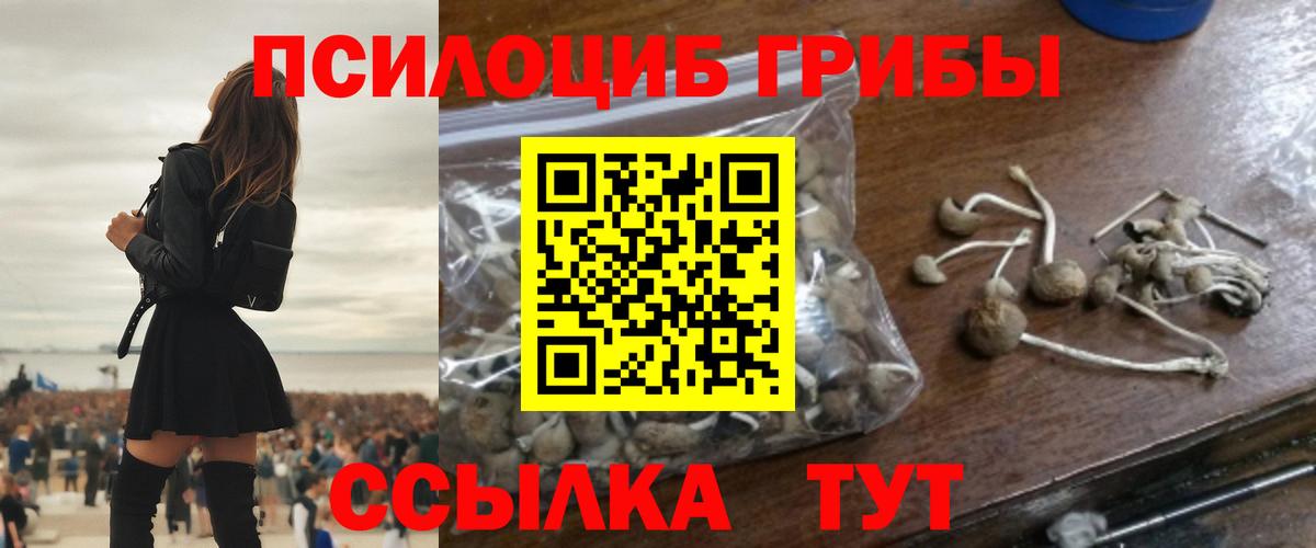 Севастополь  Галлюциногенные грибы мухоморы  Вход с VPN  Псилоцибиновые грибы Psilocybe 